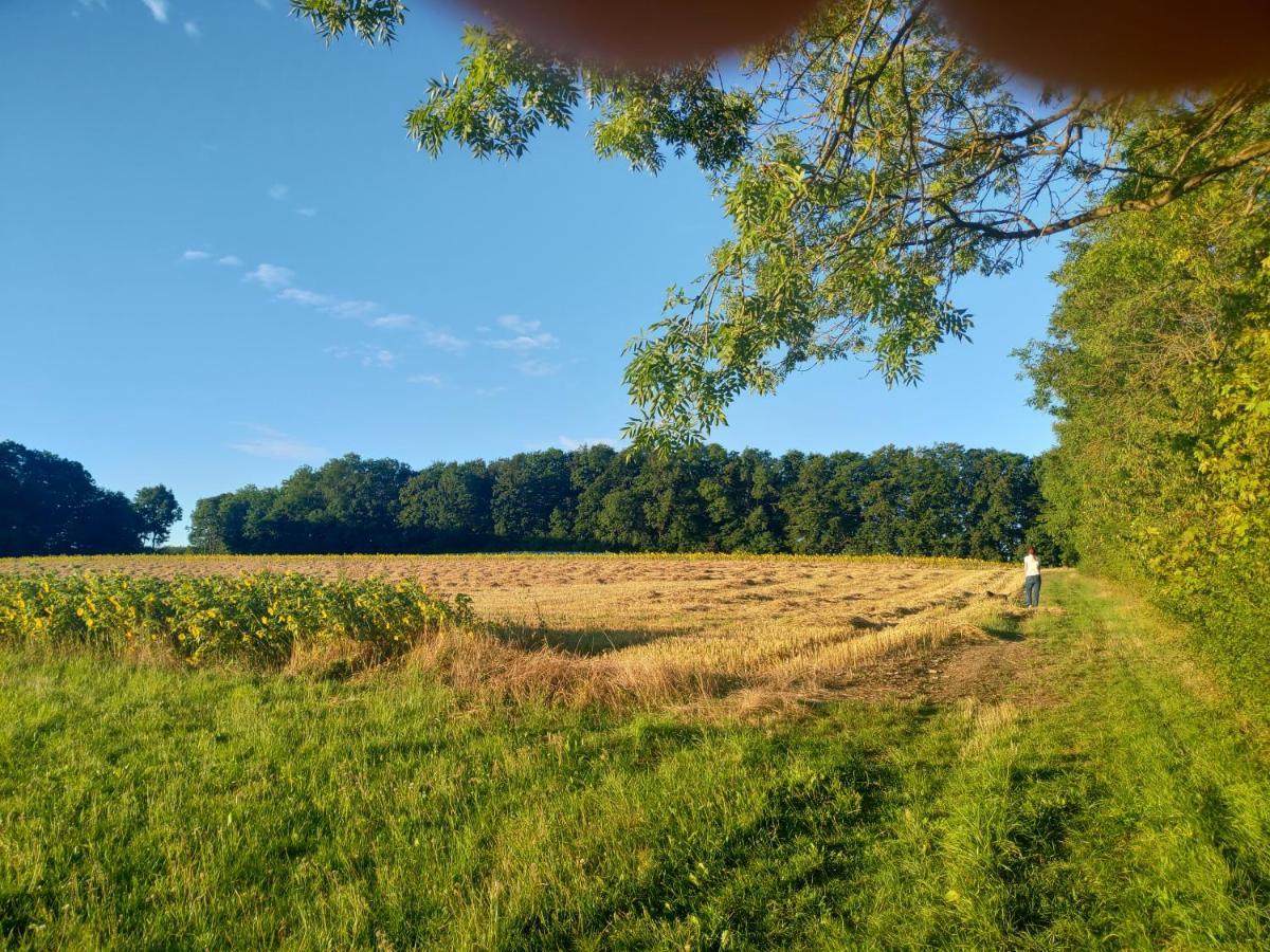 Haus Ringgau - Urlaub, Gemeinschaft Und Erlebnis Im Herzen Von Deutschland Herleshausen Exteriör bild
