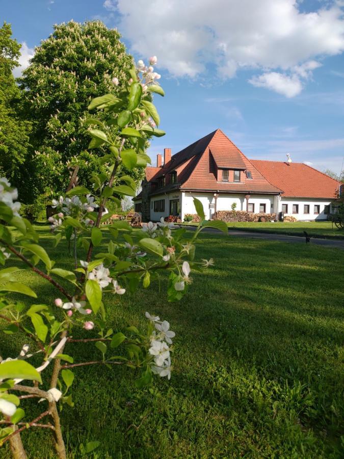 Haus Ringgau - Urlaub, Gemeinschaft Und Erlebnis Im Herzen Von Deutschland Herleshausen Exteriör bild
