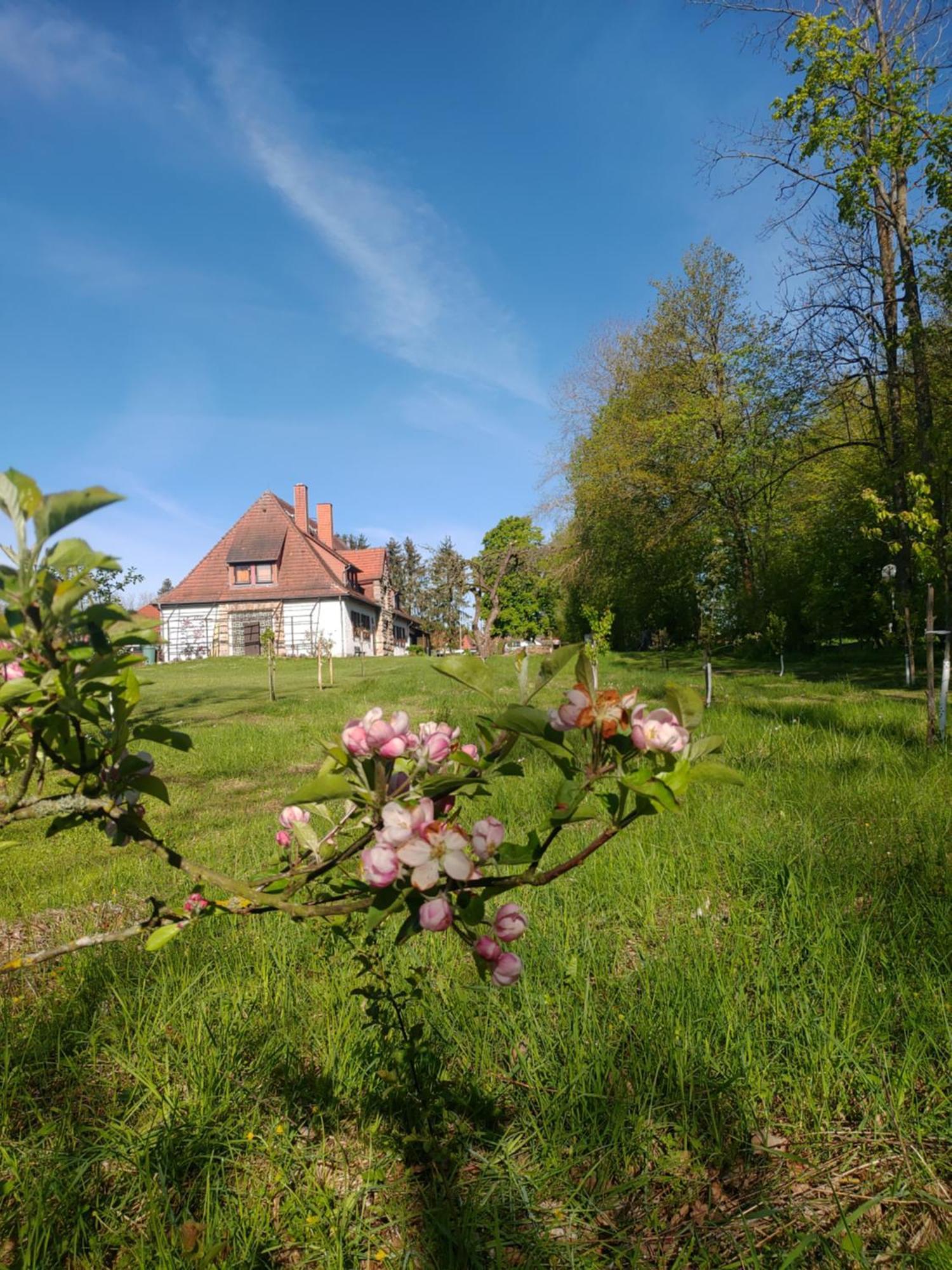 Haus Ringgau - Urlaub, Gemeinschaft Und Erlebnis Im Herzen Von Deutschland Herleshausen Exteriör bild
